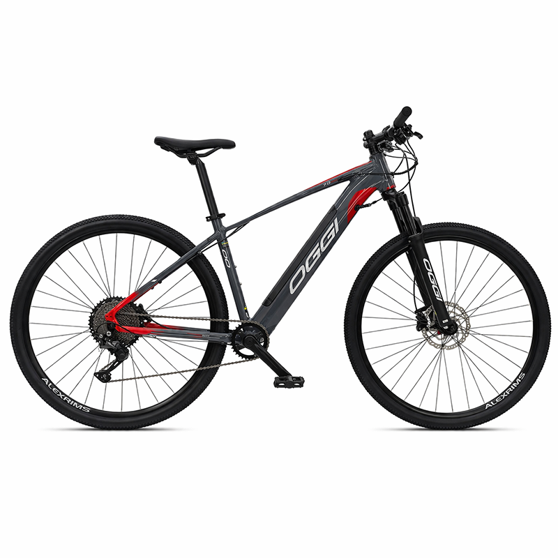 OGGI Elétrica 8.0 Cinza e Vermelho